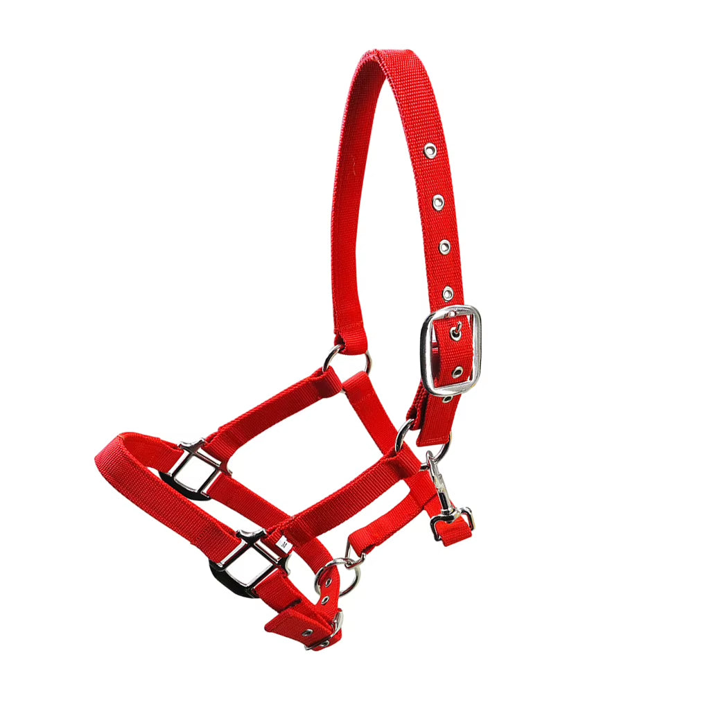 Cabezada acolchada para poni y caballo, tallas XS a XL - vista 11