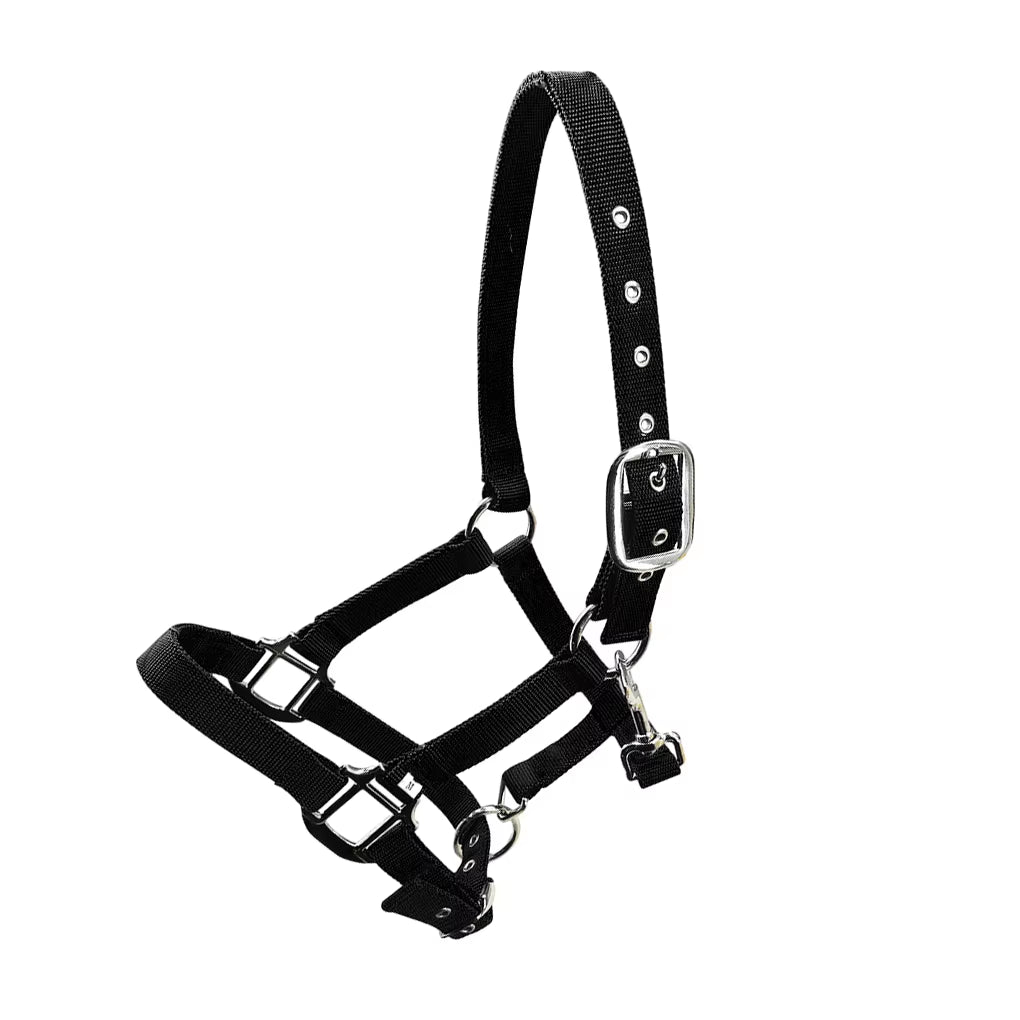 Cabezada acolchada para poni y caballo, tallas XS a XL - vista 12