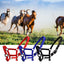 Cabezada acolchada para poni y caballo, tallas XS a XL - vista 4