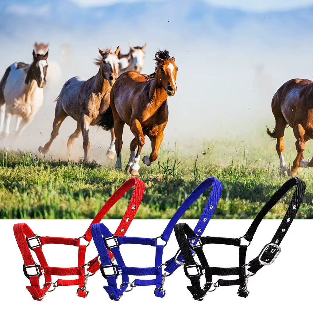 Cabezada acolchada para poni y caballo, tallas XS a XL - vista 4