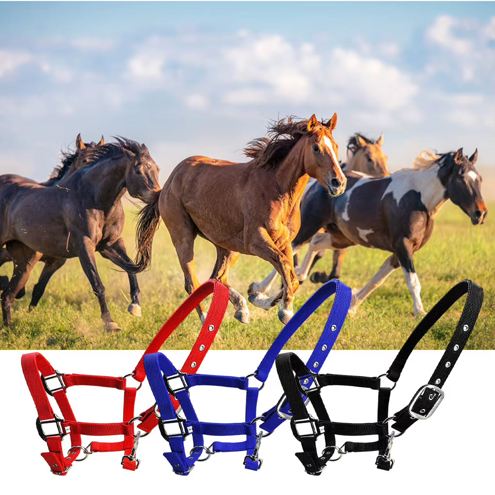 Cabezada acolchada para poni y caballo, tallas XS a XL - vista 5