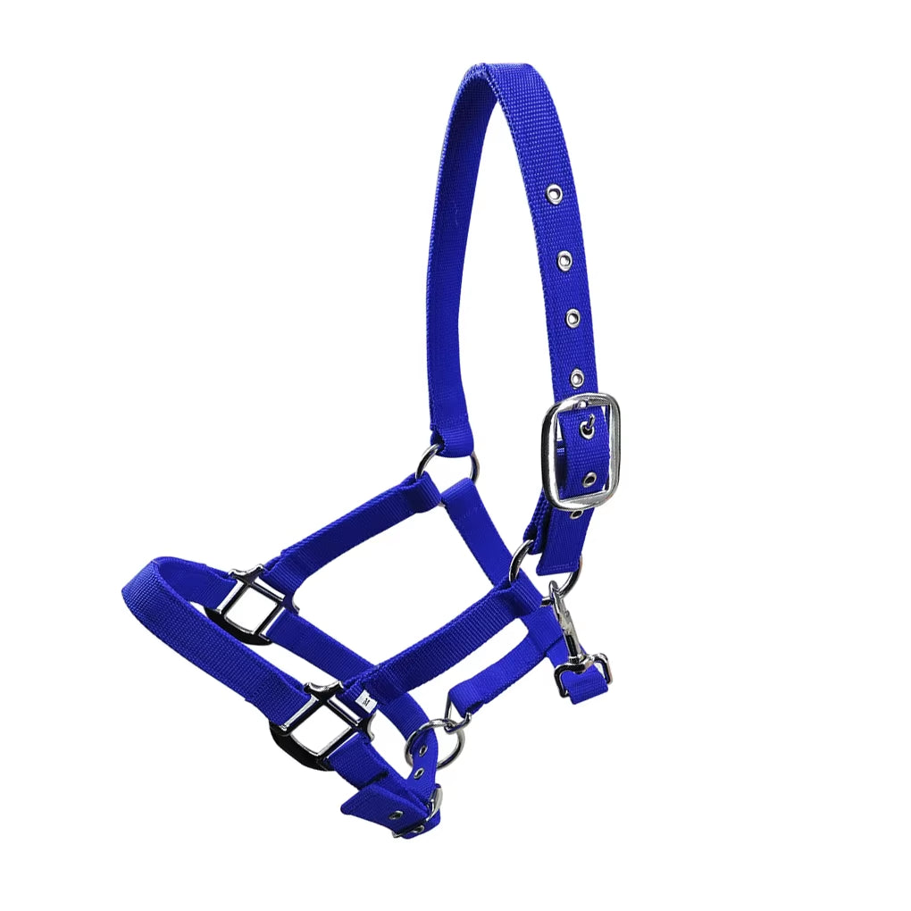 Cabezada acolchada para poni y caballo, tallas XS a XL - vista 8