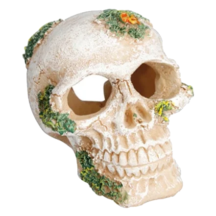 Calavera