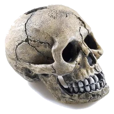Calavera para acuario