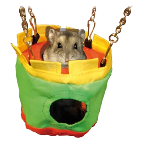 Casita colgante para roedores