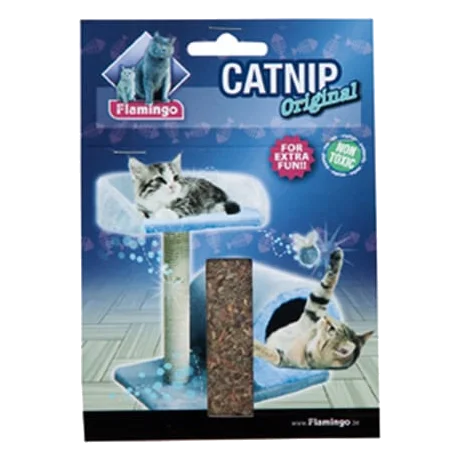 Catnip natural para gatos