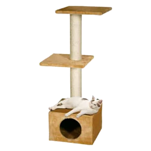 Charbonnel Beige para gatos