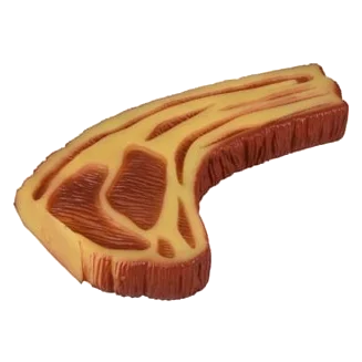 Chuletón gigante de vinilo para perros, 22 x 13 x 3 cm