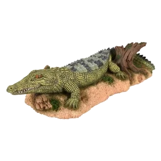 Cocodrilo para acuario
