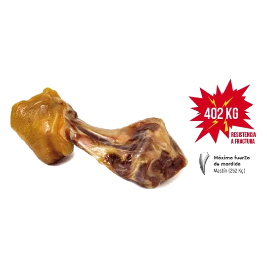 Codillo de jamón serrano Mediterranean 550 g para perros
