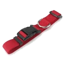 Collar de nailon para perros 15 mm, tallas T1, T2 y T3