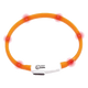 Collar gato led Naranja