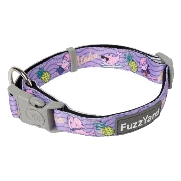 Collar para perros de neopreno FuzzYard Aloha Dolphins