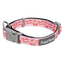 Collar para perros de neopreno FuzzYard Hey There Sweetie