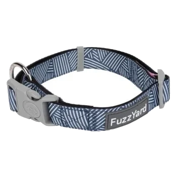 Collar para perros de neopreno FuzzYard Thornbury Aegean Blue