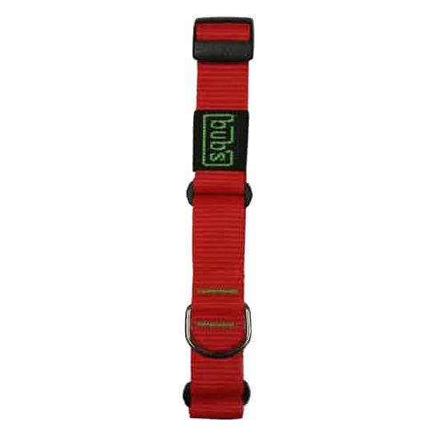 Collar semiestrangulador Bub's para galgos, 25 y 40 mm