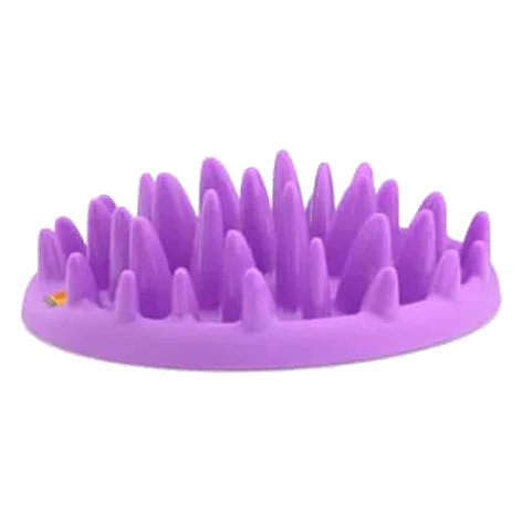 Comedero northmate violeta para perros