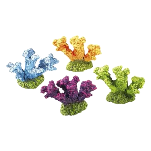 Coral 4u para acuario