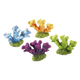 Coral 4u para acuario