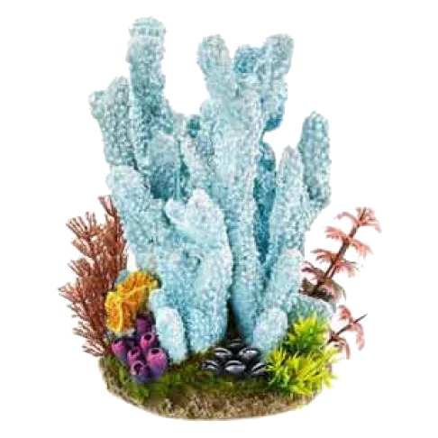 Coral Azul para acuario