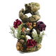 Coral para acuario