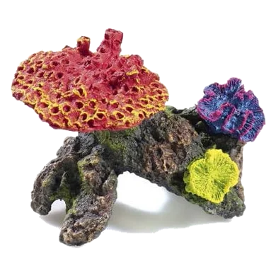 Coral pequeño 2u para acuario