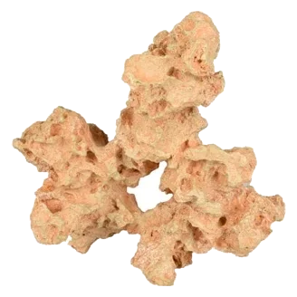 Coral Sahara Grande para acuario