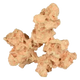 Coral Sahara Grande para acuario