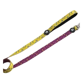 Correa bicolor Dukier Calaveras para perros