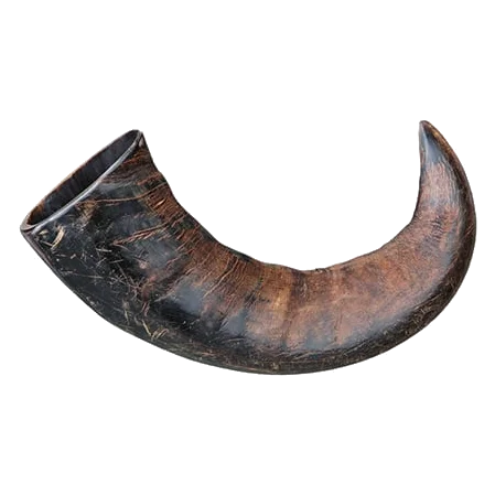 Cuerno de búfalo 15 y 20 cm para perros