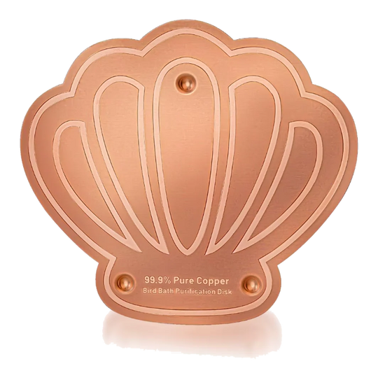 Disco de cobre para baño de pájaros en forma de concha
