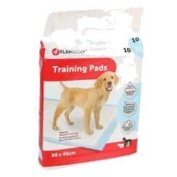 Empapadores de adiestramiento 60 x 45 cm para perros, 10 unidades