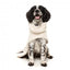 Abrigo para perros FuzzYard The Cosy cuello alto Eggshell (talla 1)