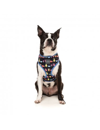 Arnés para perros FuzzYard Bed Bugs transpirable (talla XS)