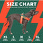 Arnés Flash para perros FuzzYard Commando reflectante