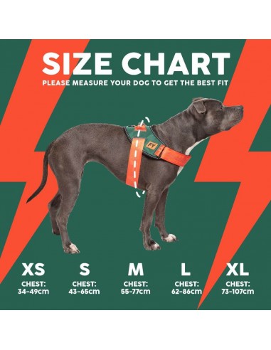 Arnés Flash para perros FuzzYard Commando reflectante