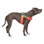 Arnés Flash para perros FuzzYard Commando reflectante