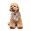 Arnés para perros FuzzYard Fresh Zest transpirable (talla XS)