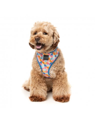Arnés para perros FuzzYard Fresh Zest transpirable (talla XS)