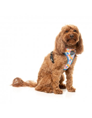 Arnés para perros FuzzYard Fresh Zest transpirable (talla XS)