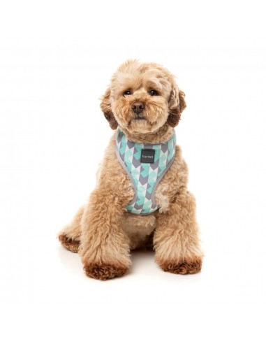 Arnés para perros FuzzYard Mint Fizz de licra transpirable