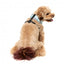 Arnés para perros FuzzYard Mint Fizz de licra transpirable