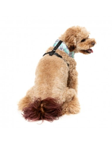 Arnés para perros FuzzYard Mint Fizz de licra transpirable