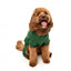 Chándal con capucha para perros FuzzYard Urban verde