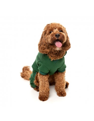 Chándal con capucha para perros FuzzYard Urban verde