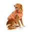 Abrigo acolchado para perros FuzzYard Ashbury melocotón