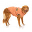 Abrigo acolchado para perros FuzzYard Ashbury melocotón