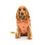 Abrigo acolchado para perros FuzzYard Ashbury melocotón