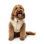 Abrigo acolchado para perros FuzzYard East Harlem tostado
