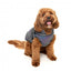 Chaqueta reflectante con arnés para perros FuzzYard Flash